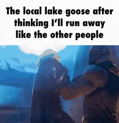 Fuck da gees