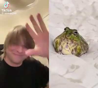 👋😊 hi