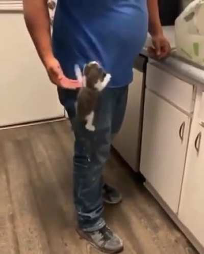 I'm home Papa.