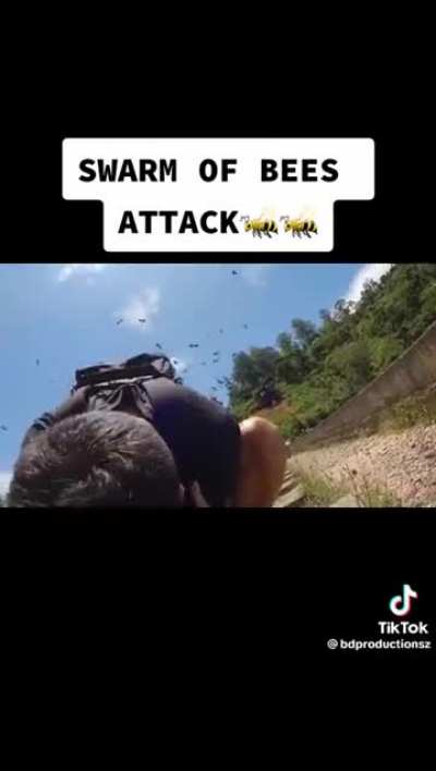 Don’t stand still in a bee swarm