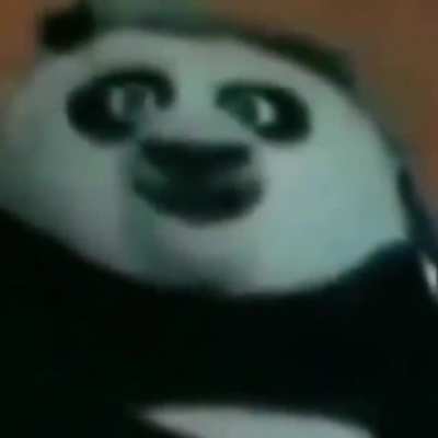Its the Kung fu Fighterrrr