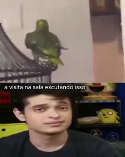 Visita