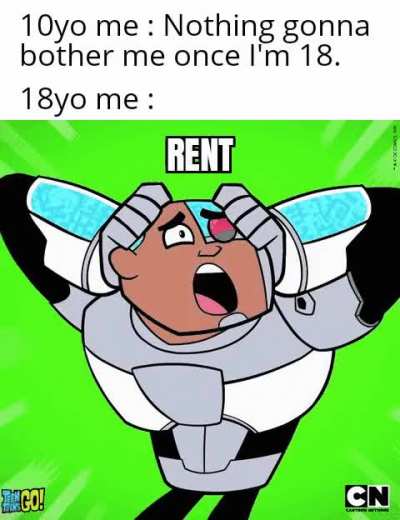 Life in a nutshell