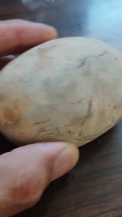 Can someone explain how those patterns occured? Found near a dry creek. A fossil maybe?