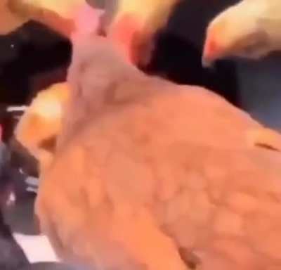 hmm