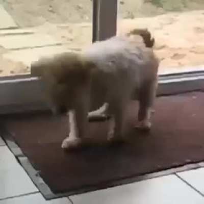 So polite...