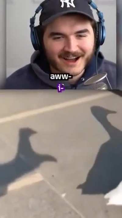 No love for you