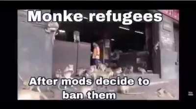 Please mods don’t do this!!!😔😥🐵🐒