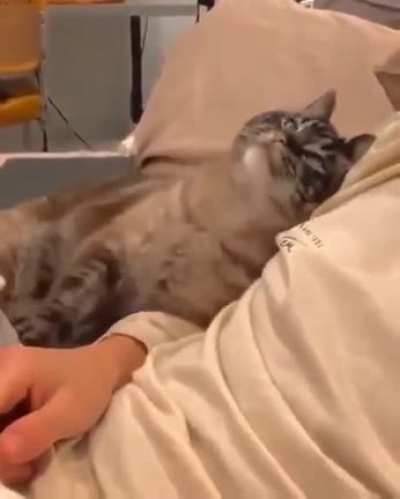 it's time to sleep