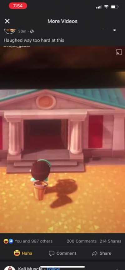 Prank on Blathers goes wrong