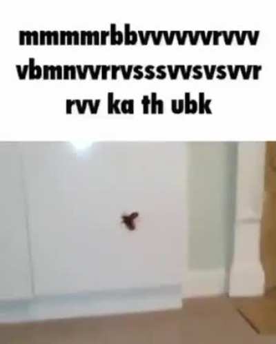 mmmmrbbvvvvvvrvvvvbmnvvrrvsssvvsvsvvr rv Ka tu ubk