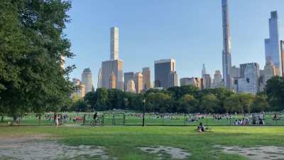 It's a beautiful day in the neighborhood