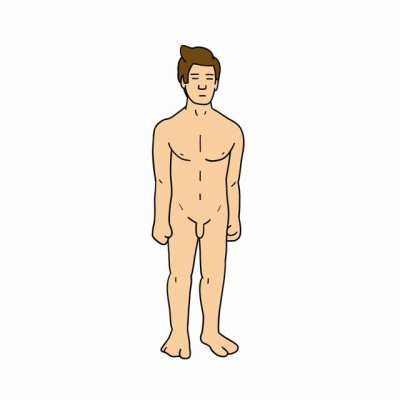 My first attempt on male anatomy in animation
