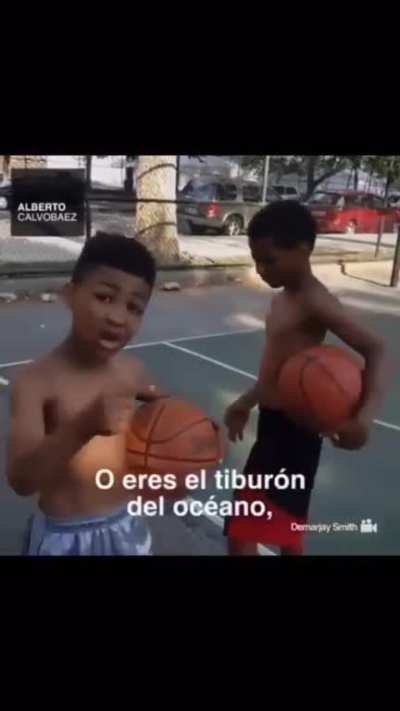 &iquest;Eres tiburon o pez?