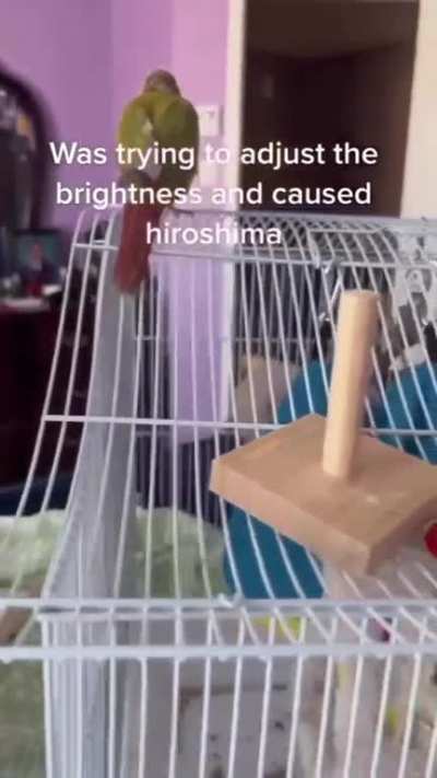I’m 15 and this is yeet