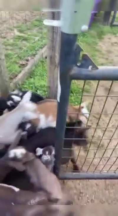 Maybe Maybe Maybe