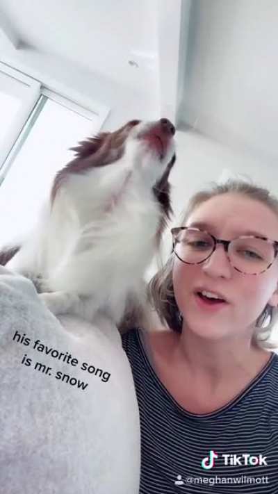 Chihuahua sings &ldquo;Mr. Snow&rdquo; from Carousel