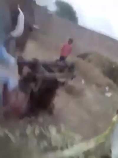 Trying to stop a Dog Fight