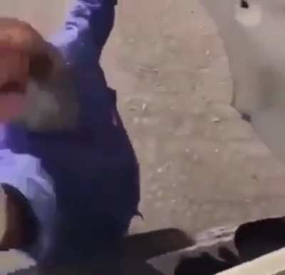 Blursed gun