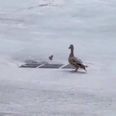 When you go back to a section of your code to fix that small but but create 10 extra bugs in the process (video from r/interestingasfuck)