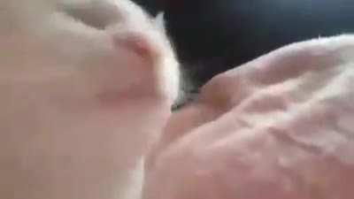 DJ Cesar kkk qm conhece, conhece. Algm fala Comigo na DM tem ngm la mano t&aacute; chato o Reddit dai.