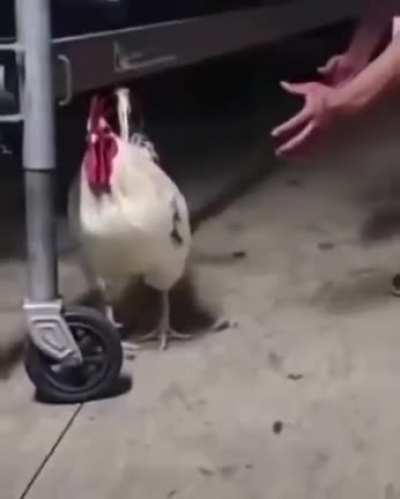 Grab