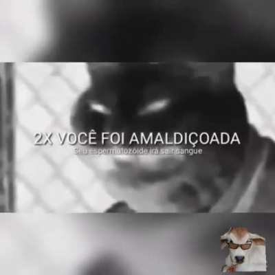 J&aacute; era pra tu kkkkkk