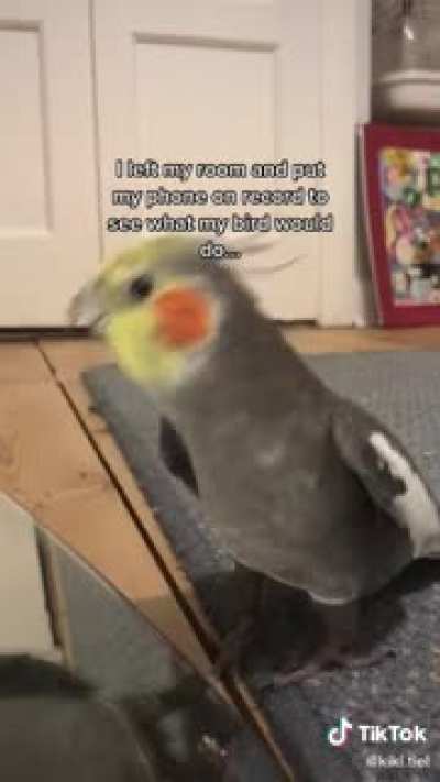 Beautiful singing