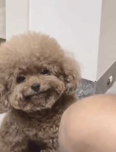 I think he is human