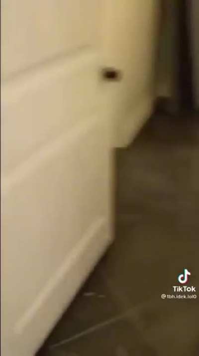 This is your new home!