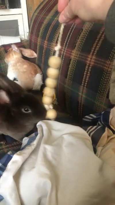 Playing with toys
