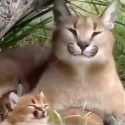 404