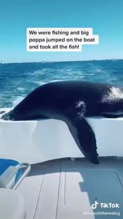 Big Poppa
