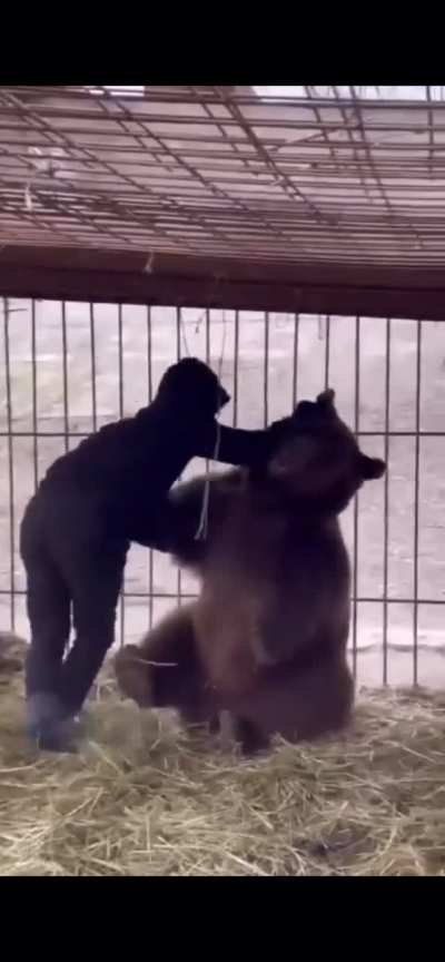 HMB