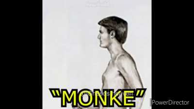 GO BACK I WANT TO BE MONKE