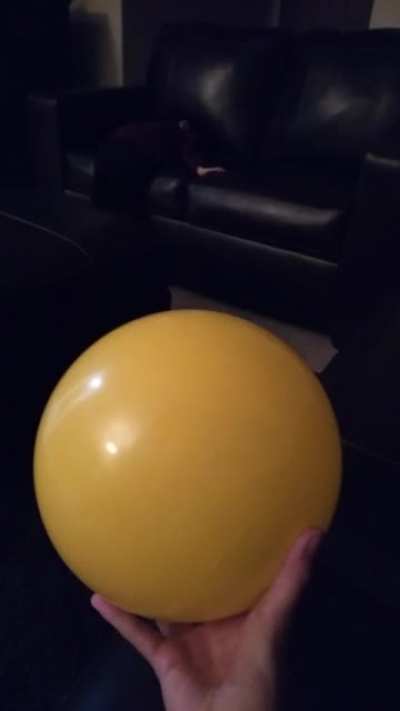 Dodgeball!