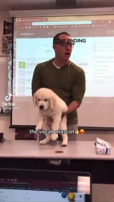Don&rsquo;t lose the vocab bowl