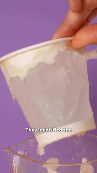 Amj, the paper cups contains plastic