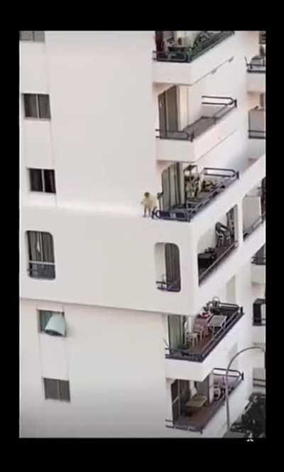 Wtf