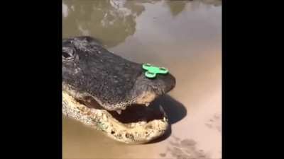 Look at him go