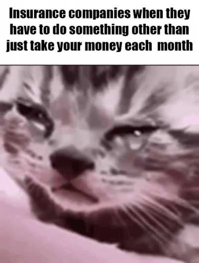 roomba &amp;gt; insurance companies
