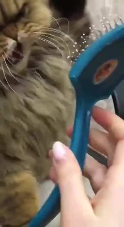 Don't fucking touch me.