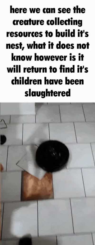 I cried ;(