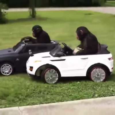 Nopixel sister server LEAKED gameplay ''xQc being chased by cops''