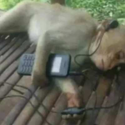 Os normies est&atilde;o descobrindo o shitpost que tristeza
