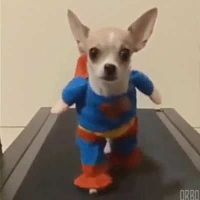 😂