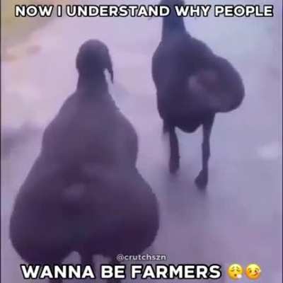 pshh no one gets banned twice (3 times)