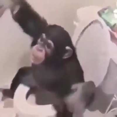 MONKEY 🐒