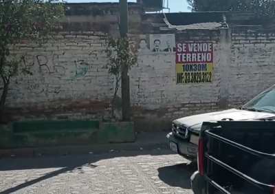 Mira el perro.