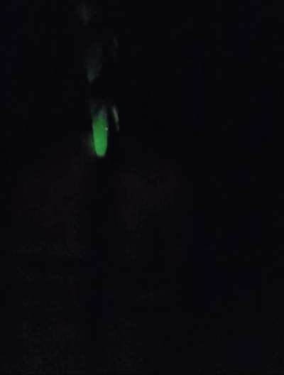 Anal fun in the dark with L Dagon, from Sinnovator